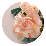 DAROUND 062 Bouquet Of Roses Peach